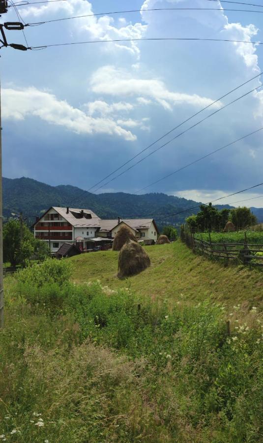 Casa De Vacanta Perla Colibitei Colibiţa المظهر الخارجي الصورة